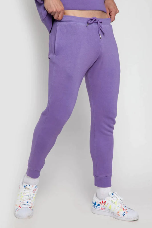 Men's Purple Jogger Pant