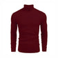 Basic Maroon High Neck